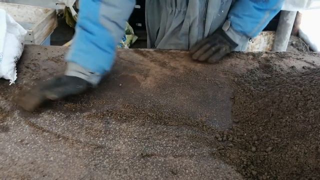 Приготовление самодельного грунта своими руками для посева томатов. смотреть онлайн