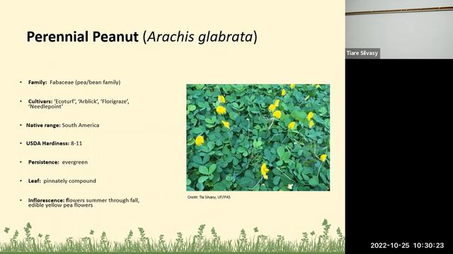 Florida Friendly Plant Selection смотреть онлайн