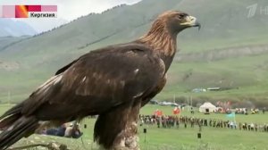 Всемирные Игры Кочевников проходили в Кыргызстане в сентябре 2016 г.