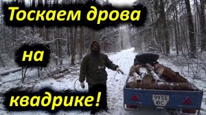 Тоскаем дрова на квадроцикле!