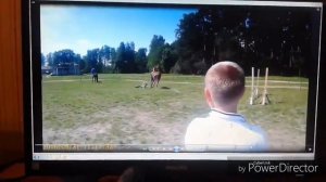 КСК Вольный Ветер / конный клуб / лошади / конкур / лагерь / выездка / horse