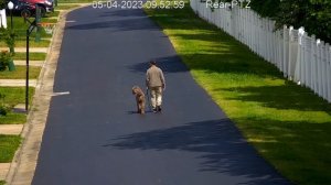 EmpireTech SD5A425GA-HNR AutoTracking Daytime Video