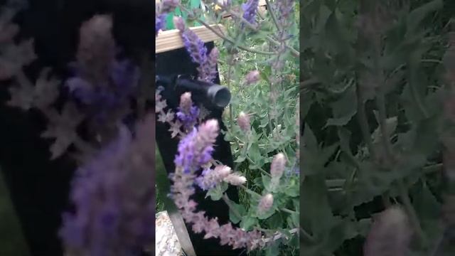 Дымогенератор для нашей коптильни смотреть онлайн