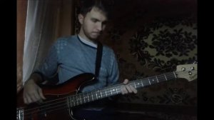 Александр Пушной - Бритни (бас кавер)