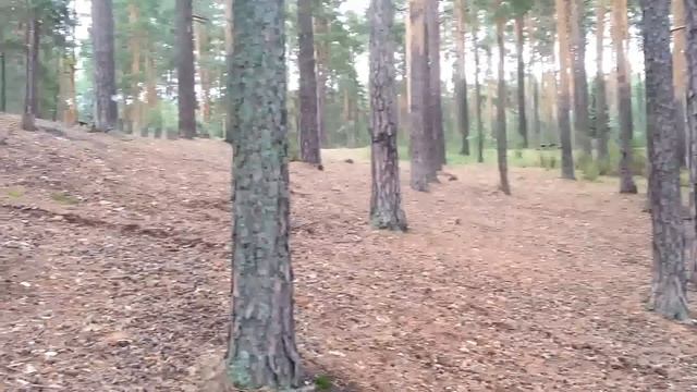 Озеро Гурино в Тугулымском районе Свердловской области смотреть онлайн