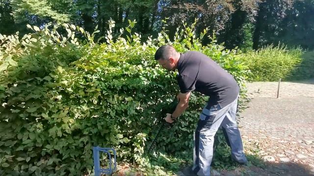 Heckenschnitt mit der Bosch UniversalHedgeCut 18V-50 "unterstützt durch Bosch Home & Garden" смотреть онлайн