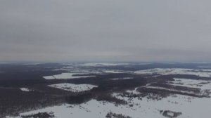 Дачный поселок "Дубровский лес"