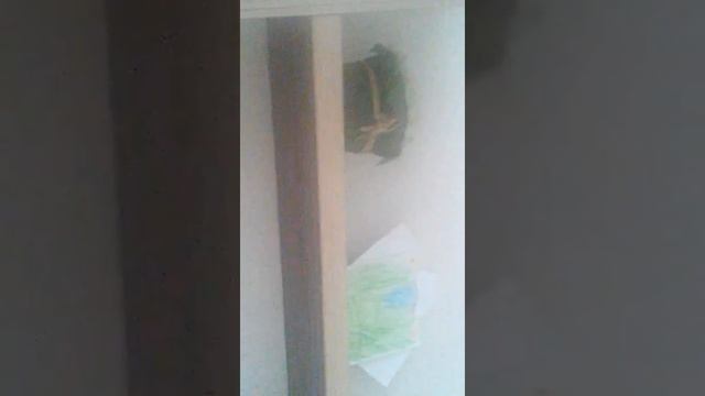 Икскурсия дома!(обзор иксбокса) смотреть онлайн