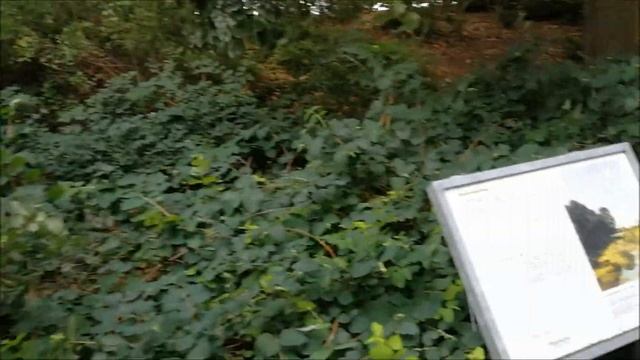 прогулка по Мюнстеру, очень интересно