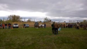 Выставка охотничьих собак Россошь 16.04.2016г.
