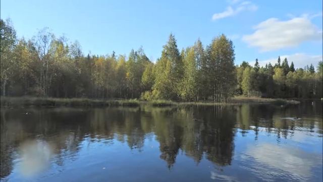 На н Нелгомозеро смотреть онлайн