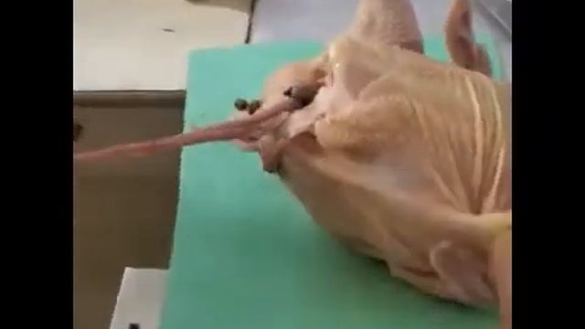 Как потрошить курицу. Это не сложно. Часть 1 Мастер-класс от Фимы смотреть онлайн