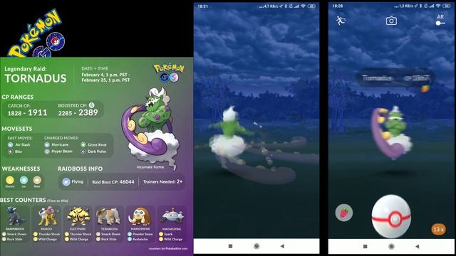 ПОКЕМОН ГО День Покемона Торнадус Таинственный час смотреть онлайн