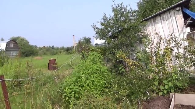 Как органические грядки спасли мой урожай. смотреть онлайн