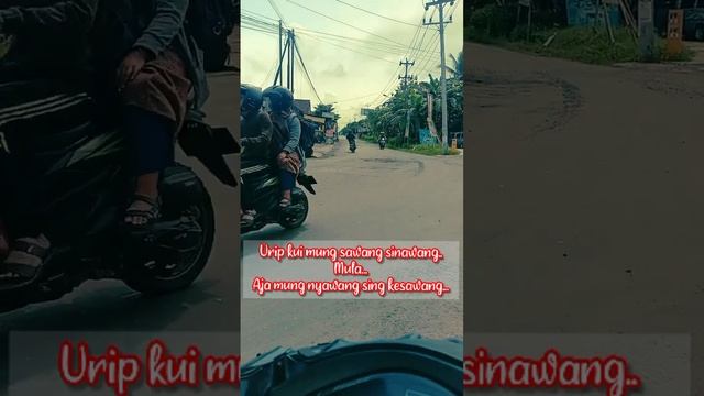 Sawang sinawang || quotes Java story' смотреть онлайн