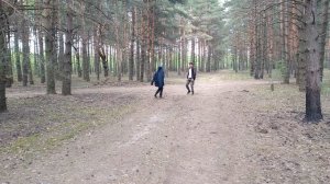 Битва на мечах в лесу рядом с капищем древних славян