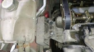 Замена ремня ГРМ Форд Фокус 2 Ford Focus II