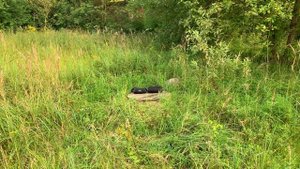 Урал Гагарин и JBL Xtreme 3