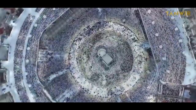 ХАДЖ САИДА (ПАЛОМНИЧЕСТВО САИДА) смотреть онлайн