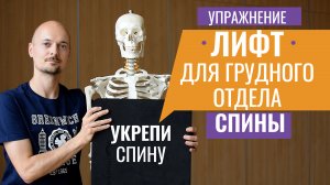 11.УКРЕПЛЯЕМ МЫШЦЫ ГРУДНОГО ОТДЕЛА спины на блоке для Йоги Критического Выравнивания.