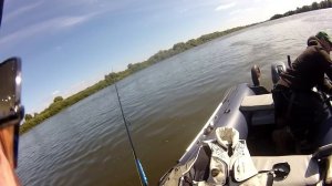 Лучшие спиннинги для ловли на джиг. Varivas серии Violente VLE.