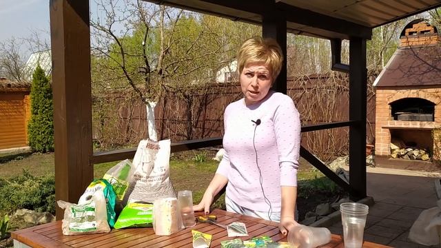 Рассада огурцов ? Секреты правильной посадки / Садовый гид
