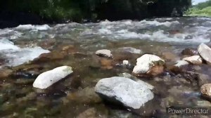 Р. Киевка Лазовский район/ красота природы в Приморье 🌳🏞️ 27.06.2021.