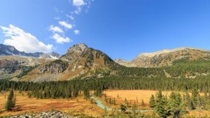 Ответы на вопросы. Часть 4. Духи Алтая. Верьте или нет.