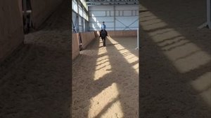 вестерн в россии, тренировка по конному спорту