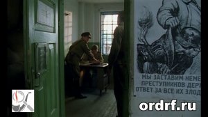 Опрос водителя. В августе 44