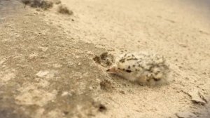 Рыбалка в Екатериновке на Волге! По воде можно домчать на реки Ахтуба, Полданиловка, Енотаевка.