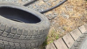 резина TOYO Made in Japan,резина убийца!