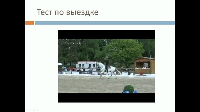Философия дисциплины "Рабочая Выездка" / Дивные Кони
