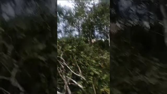 Новый проект ?дом 10*10 в один этаж
С нулевой точки до полной готовности. Этап подготовка участка смотреть онлайн