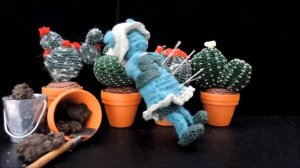 Fräulein Opuntias gehäkelte Kakteen CACTI , HÄKELN CROCHET