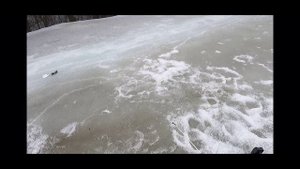 Весенняя прогулка👍