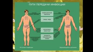 Профилактика инфекционных заболеваний