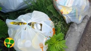 Сдаю алюминиевые банки. Хочу дочку сводить в ресторан. Сколько стоит килограмм пивных банок