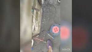 Центробежное сцепление на мотоблок