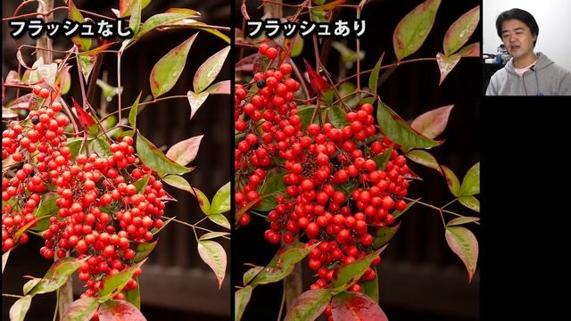 SONY RX10M4 長所と弱点！最新ネオ一眼デジカメしゃぶりつくし！さらに深掘り作例撮影で徹底レビューの後編 смотреть онлайн