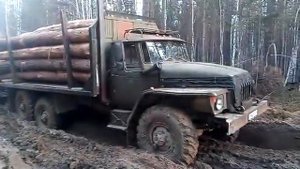 Урал-лесовоз 4320 ЯМЗ 238
