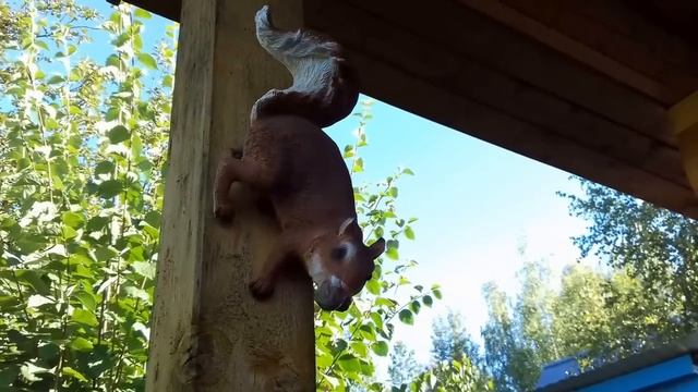 Моя любимая дача. Садовые фигурки на даче смотреть онлайн