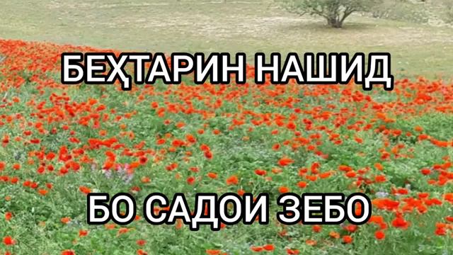 БЕХТАРИН НАШИД БО САДОЙ ЗЕБО ТУЙ ИНСОН НАМЕДОНИ КИ ДАР ИН ДУНЁ НАМЕМОНИ .