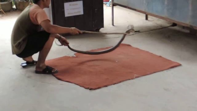 Тайланд.Гипноз кобры смотреть онлайн