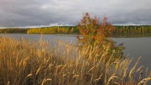 Мой родной край