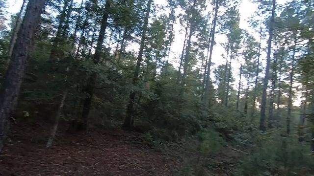 HELLUVA DAY 2 HUNT PT 1 смотреть онлайн