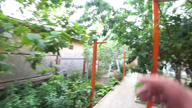 Крым / Конец самоизоляции / Море смотреть онлайн