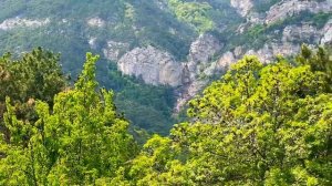 Купить дом в Крыму / недорого / в лесу в горах и 5 минутах от центра города Ялта