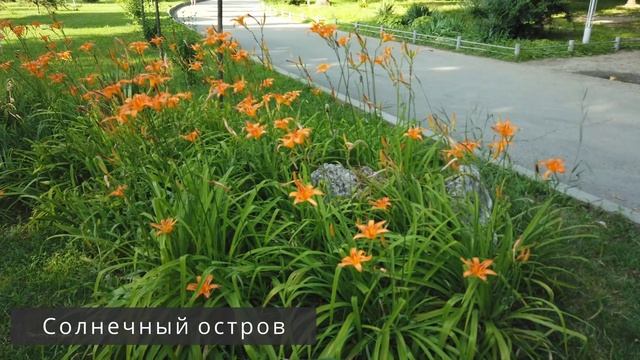 Краснодар | Плюсы и минусы города | Достопримечательности | 4K