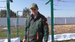 Виноград .Какой шпалерный трос выбрать?